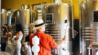 Les origines de la Cantina Le Macchie