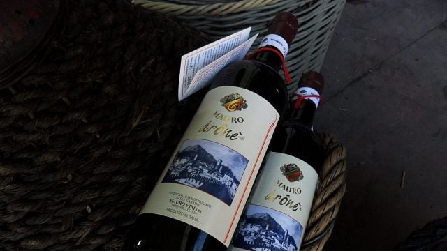 Wine Tasting and Tour at Mauro Vini