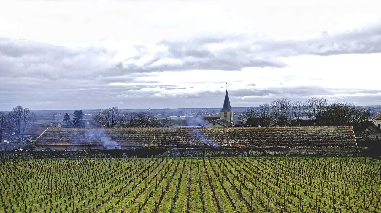 Les Héritiers Saint-Genys
