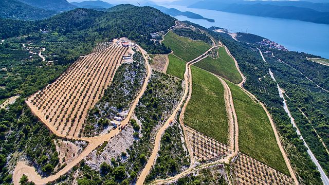 Visita y cata de vinos en Rizman Rest Stop