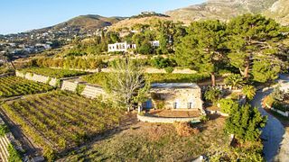 Visita guiada y degustación en la bodega Montofoli