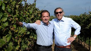 Dégustation de vins et visite à Casale Del Giglio Società Agricola