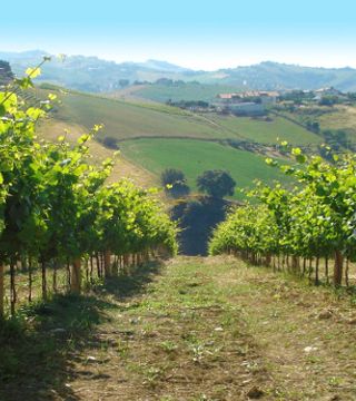 Degustação de vinhos na Villa Imperium