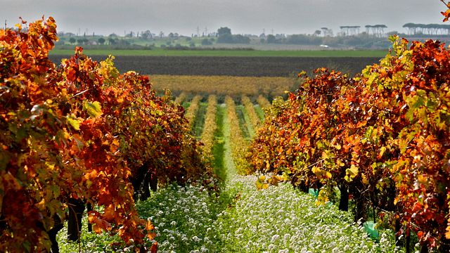 Riserva della Cascina
