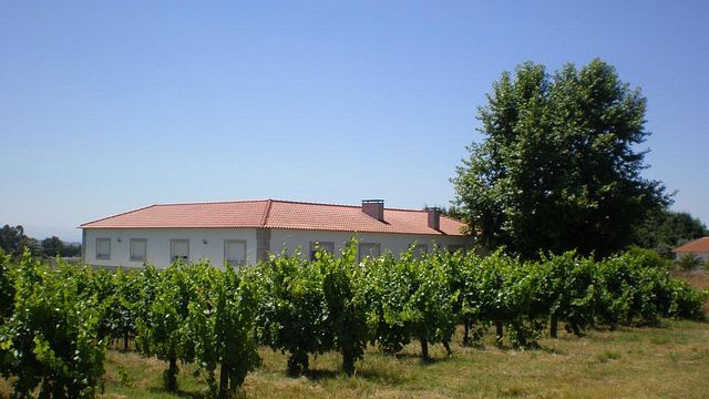 Degustazione di vini presso Sirlyn Wines
