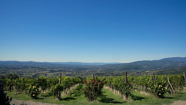 Visite de la dégustation de Buccia Nera « Tre Chianti » et « Organic EVO Oil ». 