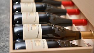 Degustazione di vini e tour del museo presso la tenuta Tsinandali