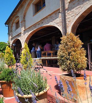 Clos Figueras Winery