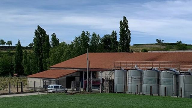 Degustação de vinhos e tour na Bodega San Martin De Abalos