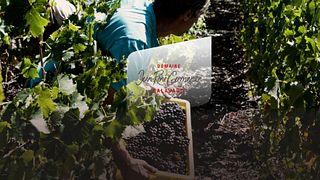 Degustazione di Brisolee Royale al Domaine Jean-René Germanier