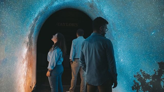 Porto: Taylor's Port Cellars: Visit and Tasting