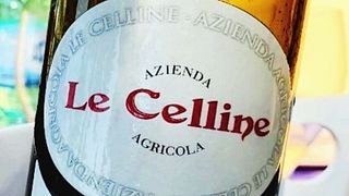 Vinprovning och rundtur på Le Celline