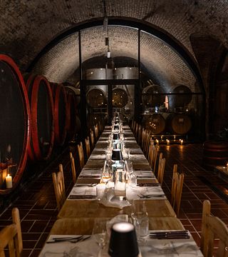 Cata de vinos y visita guiada en SIPOS Borhaz