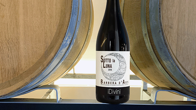 Experience Barbera Depth on a Monferrato Winery Visit