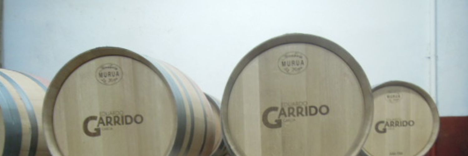 Bodega Eduardo Garrido Garcia - DSCN2661
