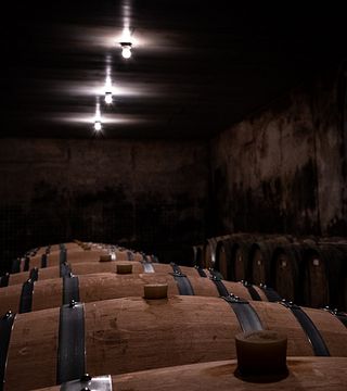 Vinprovning och rundtur på Domaine du Vieux Pressoir