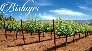 Bishops Vineyard