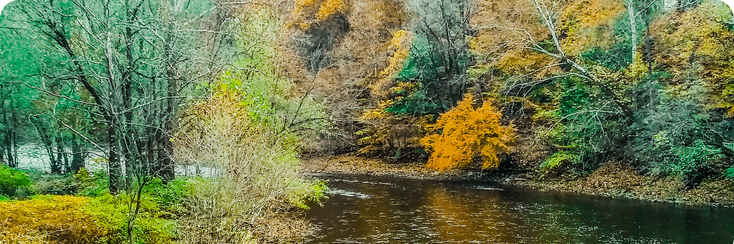 Langhorne Creek