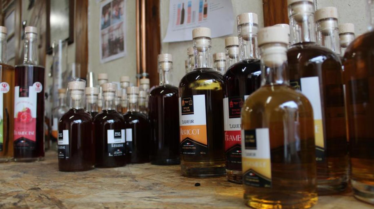 Vinprovning och rundtur på Distillerie de la Forge