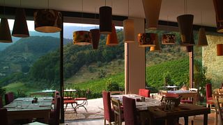 Visita a la bodega, cata de vinos con almuerzo o cena en Contrà Soarda 