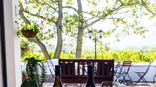 Coastal Gems: Ken Forrester Wine & Mountain Tasting