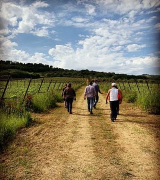 Casa Comerci Winery