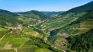 Domäne Wachau