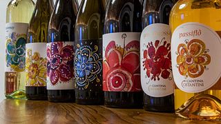Degustazione di vini premium presso la Cantina Storica | Cantina Costantini