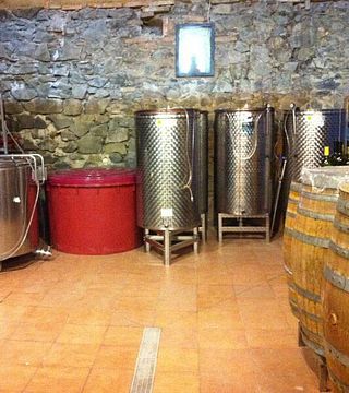 Accattivante degustazione di vini e avventura in cantina al Celler Devinssi a Priorat