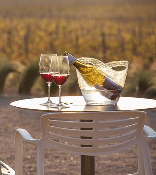 Wine Tasting Celler Mas Geli