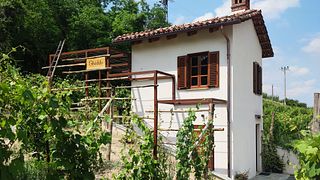 LA VERTICALE: A DEEP FULL IMMERSION TOWARDS THE VINTAGES
