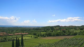 Wine tasting and tour at A. A. Bottarelli Franco & Valerio