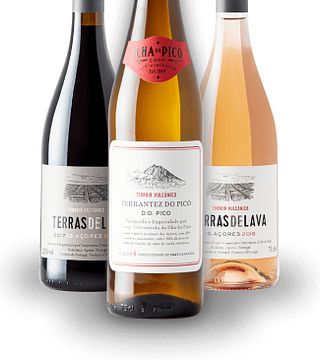 Eins, Zwei, Terroir – Weinprobe bei der Pico Island Wine Cooperative - Picowines