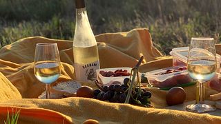 Vintur och provsmakning på Weingut Bärmann