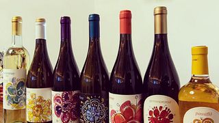 Lazio’s Castelli Romani Wine & Tasting Journey (Intermediate Tasting)