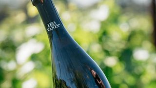 Veneto Wine Journey at Leo Vanin
