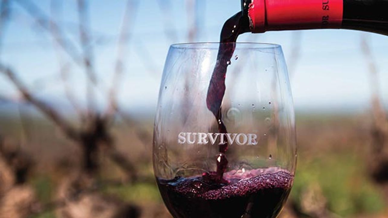 Degustação de vinhos e tour na Overhex Wines International