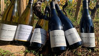 Degustazione di vini del territorio al Domaine Henri de Villamont