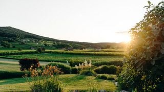 Sauska Winery | Villány