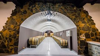 Dégustation de vins à la cave Lipovac