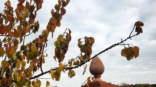 Poggio al Bosco Winery