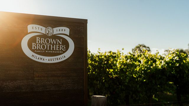 Besichtigung und Weinverkostung bei Brown Brothers