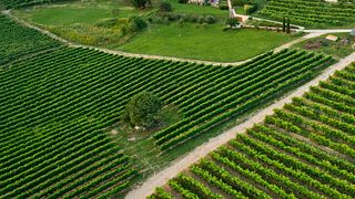 Valdellovo Winery