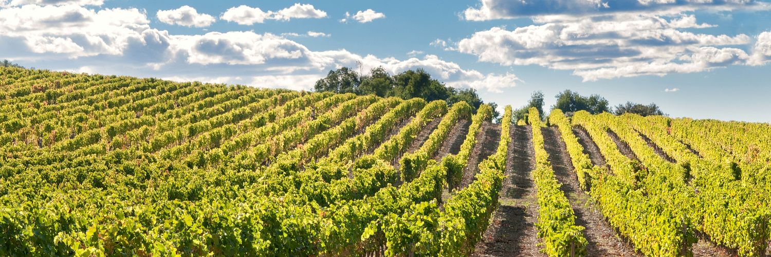 Vineyards