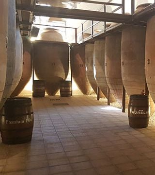 Navarro López Winery: A Family Tradition