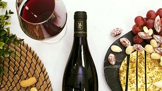 Dégustation de vins et visite des Bodegas Monovar