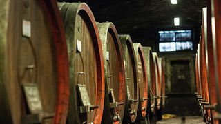 Vinos antiguos especiales en Villa Travignoli