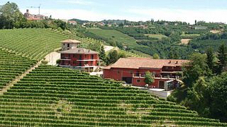 Beliebte Weinprobe und Tour in der Cantina Oriolo