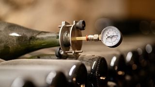 Experiência gastronômica e vinícola: tour de vinhos e almoço ou jantar com 4 pratos de produtos sazonais harmonizados com 7 vinhos. 