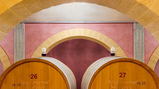 Tour and Tasting at Azienda Agricola COS